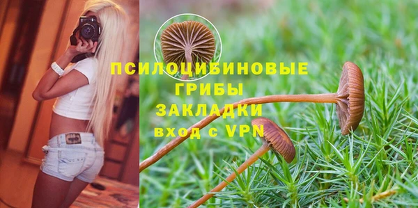 винт Пересвет