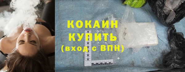 винт Пересвет