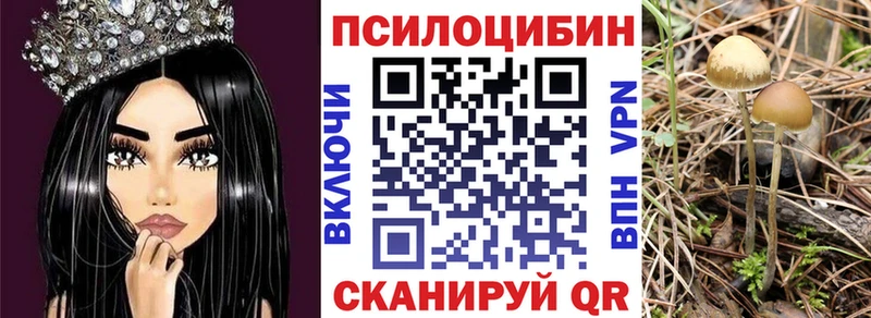 Псилоцибиновые грибы GOLDEN TEACHER  наркота  Армянск 